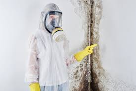 Mold Odor Removal Services in Sackets Harbor, NY